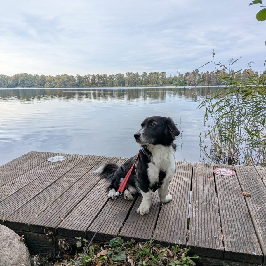 Freundliches Personal